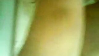 Asiatisk amatørsuging i Norge