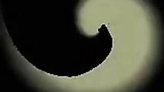 Heiße deutsche MILF bringt sich selbst zum Orgasmus