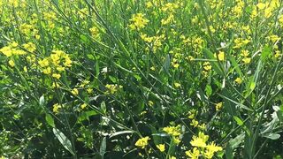 Indian step mom and step son outdoor Anal Hot video desixxxbhabhi2