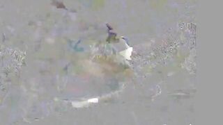 Cuckold Fantasy with My Hot Girl - Amateur Creampie