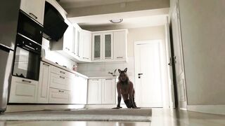 Big-Titted Blonde Solo Babe Rides Her Dildo to Orgasm