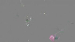 Lily Phillips Gangbang Creampie