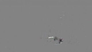 Lily Phillips Services A Truck Driver