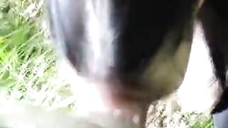 Endnu en dansk video