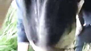 Endnu en dansk video