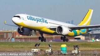 In My Dreams You Are Always Adorned with Soft Fabrics Decorating Your Silhouette, Listening to You Say How Hard I'll Put It in.