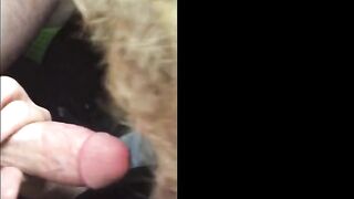 Car Blowjob with Cum-Swallowing Amateur Cuckold Girl