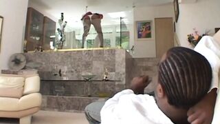 Interracial Madness Vol.1