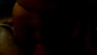 Dansk Pige Giver Blowjob