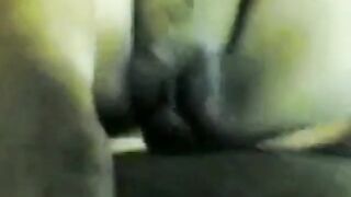 Bengali Beauty Pleasures Her Lover - Amateur Indian