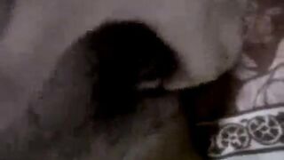 Ochi toge Coli lagi - Asian Amateur Video