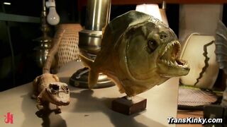 Pawn Shop Lies Exposed by Hot Revenge