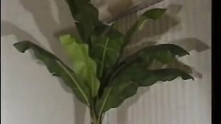 Japanese Amateur Girls Hardcore Audition