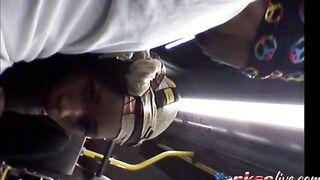 Brain's Blowjob on the Bus