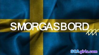Svensk Blond Amatör Avsugning #12
