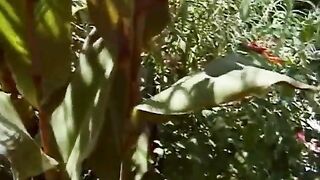 Moroccan Men with Big Dicks Loved by White Women