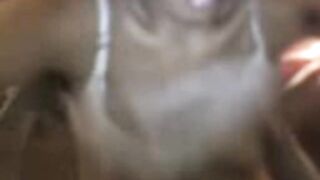 Arab Indian Webcam Girl Shows Off Her Amazing Boobs