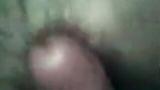 Korean Amateur Collection