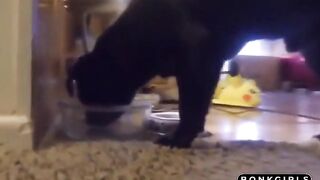 Redhead Ifrit Twerking Her Big Ass at Home