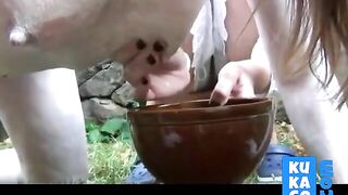 Anna The Milking Cow