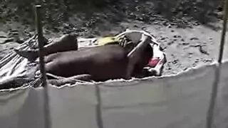 vacation couple (cuckold)