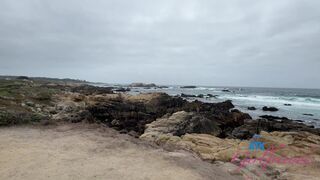 nic100ATK 414378001 hd