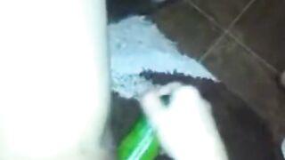 Asian Girl's Solo Fun with a Cucumber