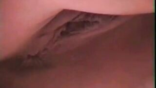 Dansk amatørfisse nærbillede