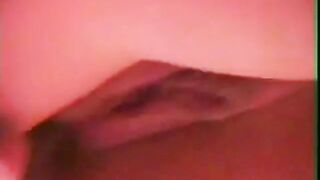 Dansk amatørfisse nærbillede