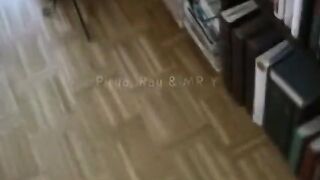 Asiatisk-svensk trekant med Pirya